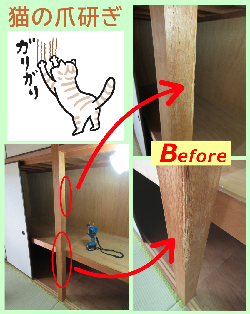 猫の爪研ぎ