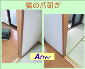 猫の爪研ぎ