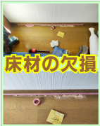 廊下・床材の欠損
